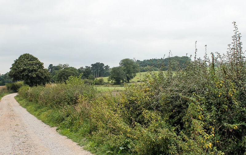Dale Hills